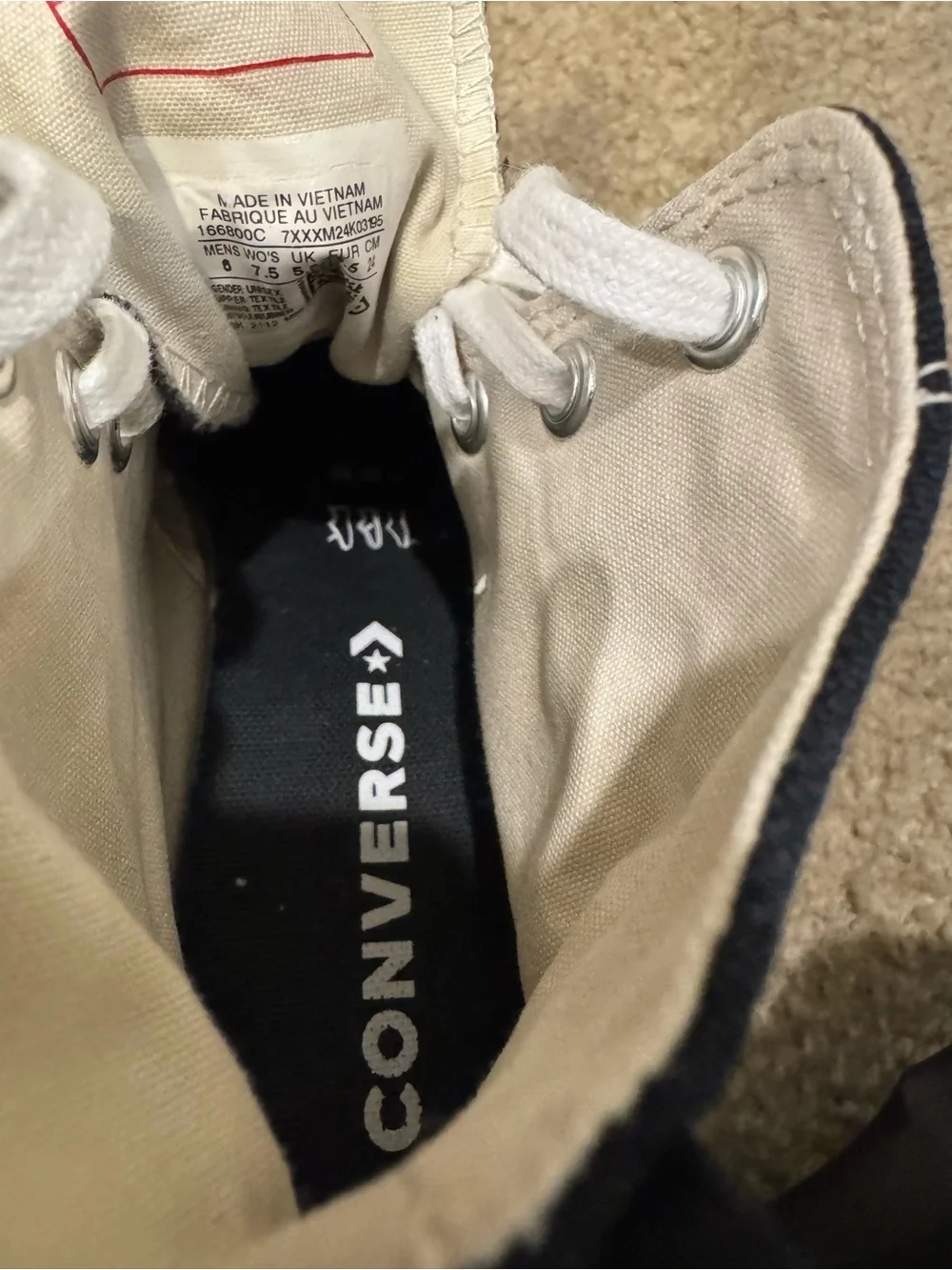 Converse High-Top Platform Canvas Sneaker in Black and White